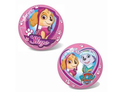 Lopta Paw Patrol Skye, 20 cm