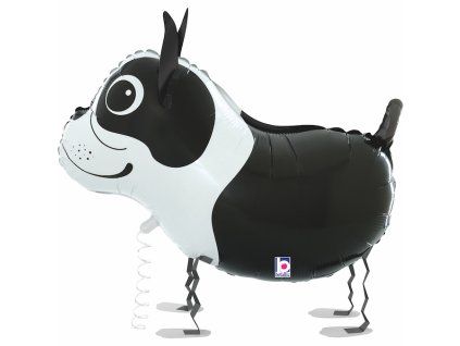 Chodící fóliový balónek 48 cm Bostonský teriér