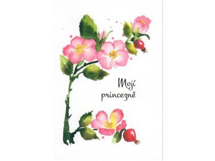 Luční přání - Mojí princezně
