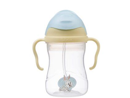 Snímek obrazovky 2025 05 12 124820