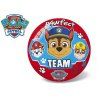 Míč Tlapková patrola Pawfet Team - 20 cm