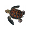 Želva Kareta obrovská plyšová 30 cm