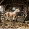 ZooLandia Kůň zlatý se skvrnami, farmář a doplňky