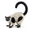 Lemur Vari - ZooLandia