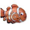 Hledá se Nemo
