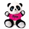 Plyšová panda s farebným tričkom a menom 17 cm