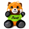 Plyšová panda červená s farebným tričkom a menom 17 cm