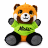 Plyšová panda červená s farebným tričkom a menom 17 cm