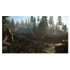Days Gone (PS4)