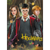 Puzzle - Harry Potter a přátelé - 250 dílků