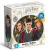 Puzzle - Harry Potter a přátelé - 250 dílků