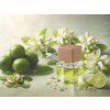 Aroma Art - Difuzér do auta na klip 8 ml - Lime